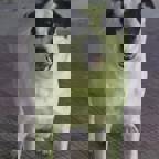 HEAVENLYDEMOM