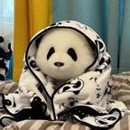 PandaHolmes